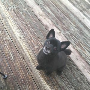 Meet your Posher, Jacqueline